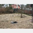 Garden Art - Zakładanie i pielęgnowanie ogrodów, Projektowanie i urządzanie terenów zieleni.