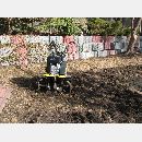 Garden Art - Zakładanie i pielęgnowanie ogrodów, Projektowanie i urządzanie terenów zieleni.