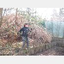 Garden Art - Zakładanie i pielęgnowanie ogrodów, Projektowanie i urządzanie terenów zieleni.