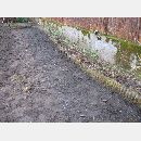 Garden Art - Zakładanie i pielęgnowanie ogrodów, Projektowanie i urządzanie terenów zieleni.