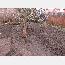 Garden Art - Zakładanie i pielęgnowanie ogrodów, Projektowanie i urządzanie terenów zieleni.