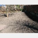 Garden Art - Zakładanie i pielęgnowanie ogrodów, Projektowanie i urządzanie terenów zieleni.