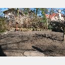 Garden Art - Zakładanie i pielęgnowanie ogrodów, Projektowanie i urządzanie terenów zieleni.