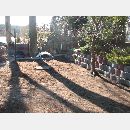 Garden Art - Zakładanie i pielęgnowanie ogrodów, Projektowanie i urządzanie terenów zieleni.
