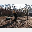 Garden Art - Zakładanie i pielęgnowanie ogrodów, Projektowanie i urządzanie terenów zieleni.