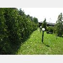 Garden Art - Zakładanie i pielęgnowanie ogrodów, Projektowanie i urządzanie terenów zieleni.