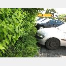 Garden Art - Zakładanie i pielęgnowanie ogrodów, Projektowanie i urządzanie terenów zieleni.
