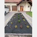 Garden Art - Zakładanie i pielęgnowanie ogrodów, Projektowanie i urządzanie terenów zieleni.