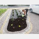 Garden Art - Zakładanie i pielęgnowanie ogrodów, Projektowanie i urządzanie terenów zieleni.