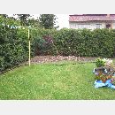 Garden Art - Zakładanie i pielęgnowanie ogrodów, Projektowanie i urządzanie terenów zieleni.