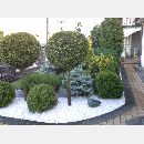 Garden Art - Zakładanie i pielęgnowanie ogrodów, Projektowanie i urządzanie terenów zieleni.