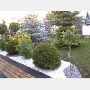 Garden Art - Zakładanie i pielęgnowanie ogrodów, Projektowanie i urządzanie terenów zieleni.