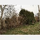Garden Art - Zakładanie i pielęgnowanie ogrodów, Projektowanie i urządzanie terenów zieleni.