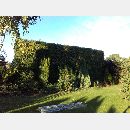 Garden Art - Zakładanie i pielęgnowanie ogrodów, Projektowanie i urządzanie terenów zieleni.